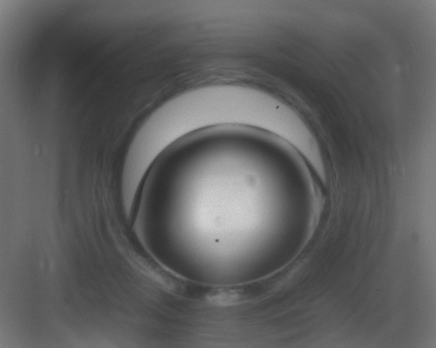 X0000083010362200702091257