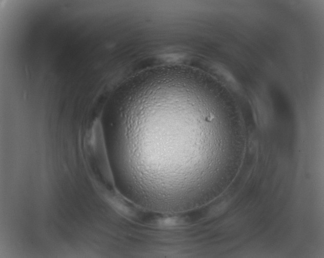 X0000083010365200702091257