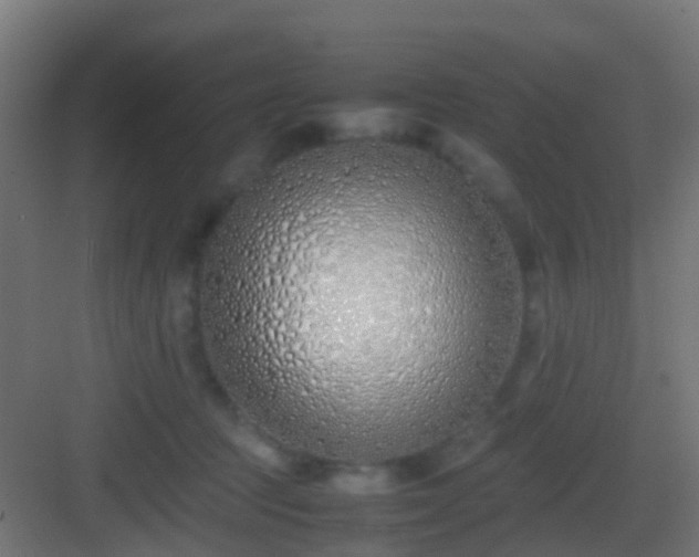 X0000083010369200702091257