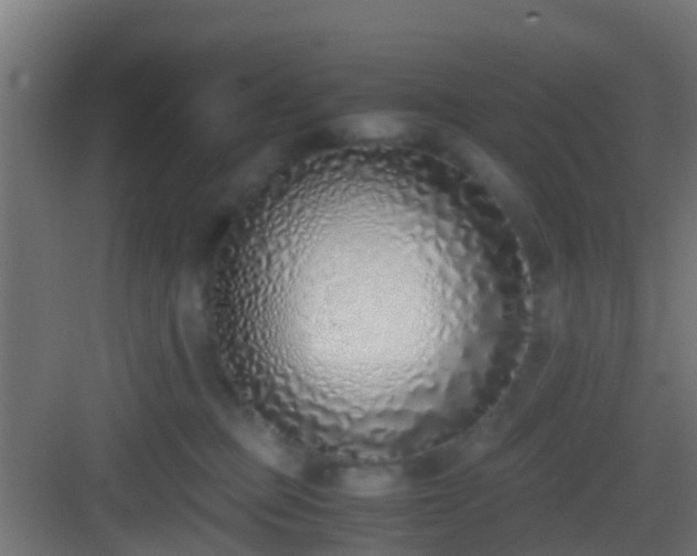 X0000083010373200702091257