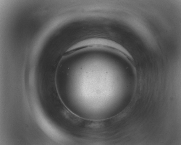 X0000083010383200702091257