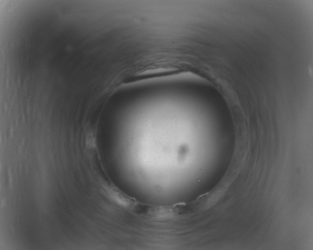 X0000083010384200702091257