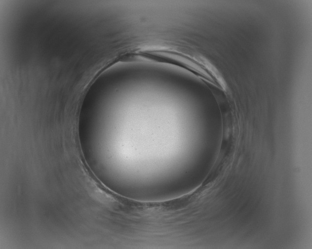 X0000083010385200702091256