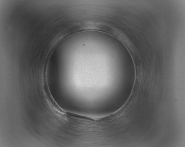 X0000083010386200702091256