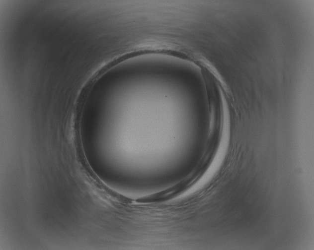 X0000083010387200702091256