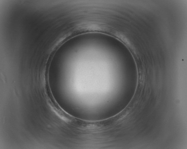 X0000083010390200702091256