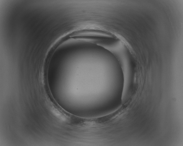 X0000083010391200702091256