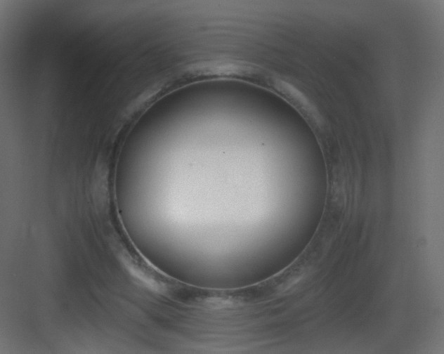 X0000083010394200702091256