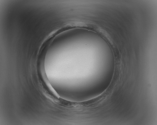 X0000083010395200702091256