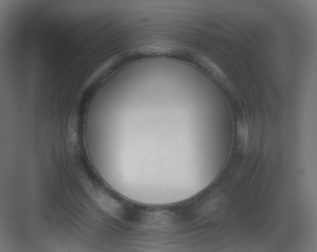 X0000083010396200702091256