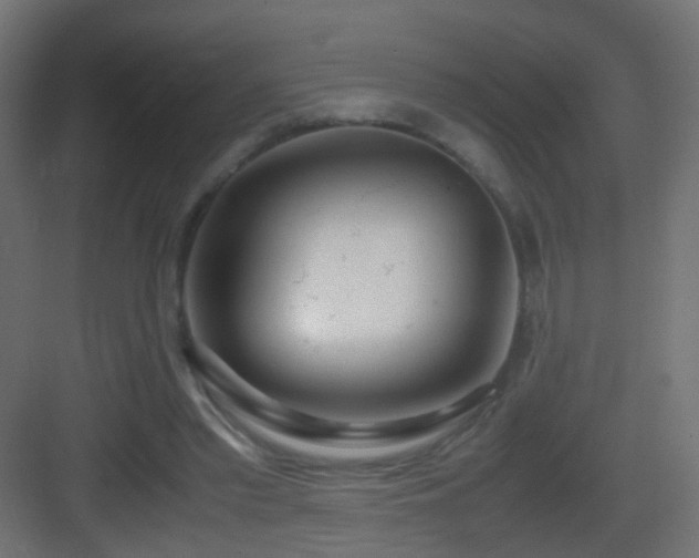 X0000083010397200702091256