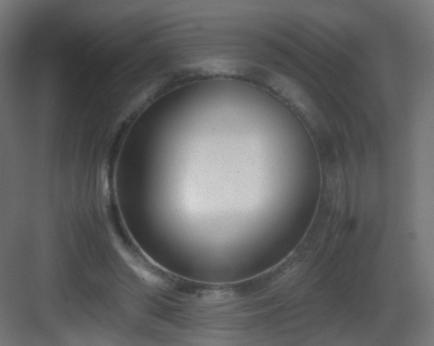 X0000083010398200702091256