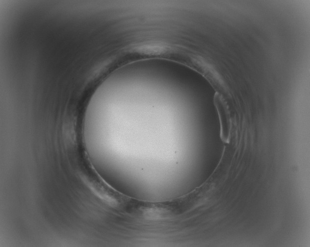 X0000083010400200702091256