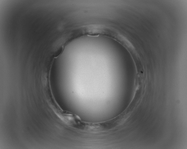 X0000083010401200702091256