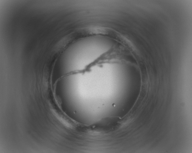 X0000083010402200702091256