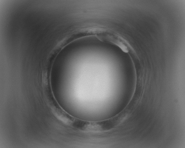 X0000083010403200702091256