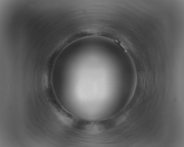 X0000083010404200702091256