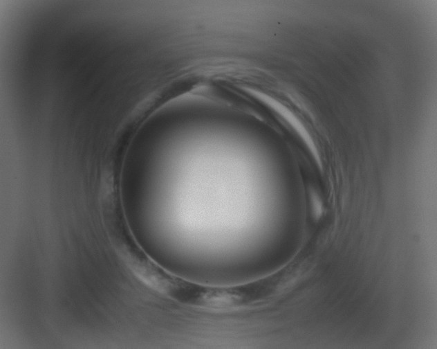 X0000083010407200702091256