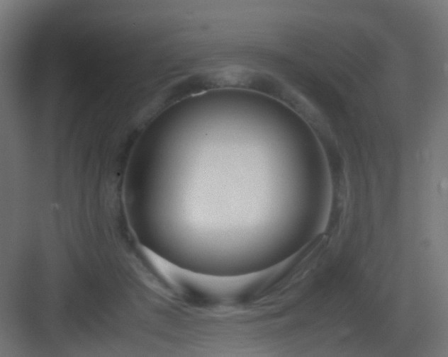 X0000083010409200702091256