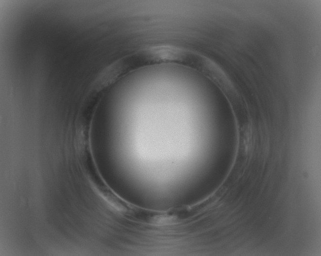 X0000083010410200702091256