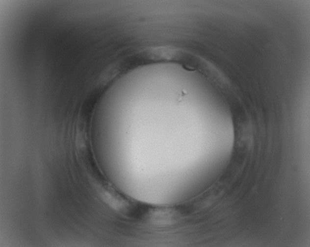 X0000083010414200702091256