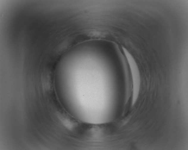 X0000083010416200702091256