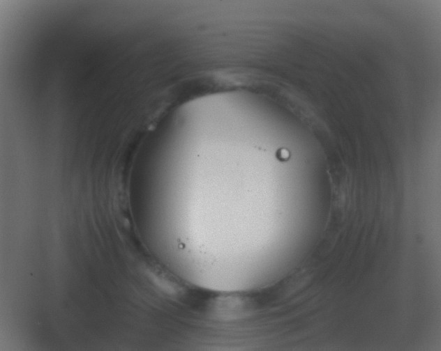 X0000083010418200702091256