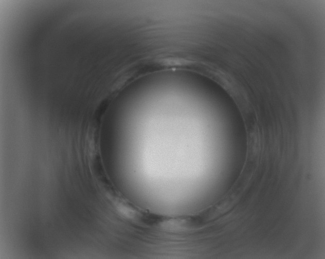 X0000083010422200702091255