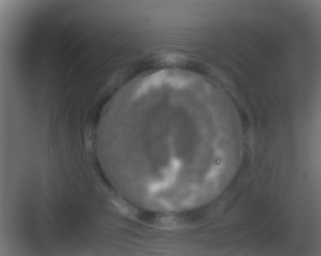 X0000083010423200702091255