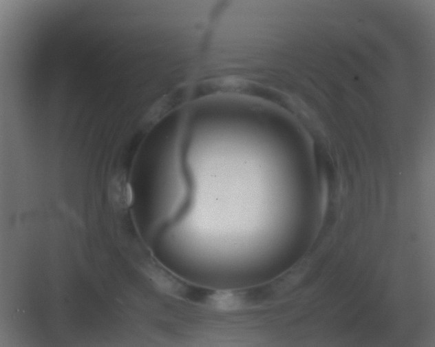 X0000083010425200702091255