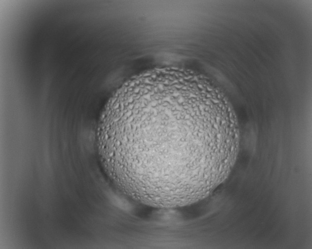 X0000083010427200702091255