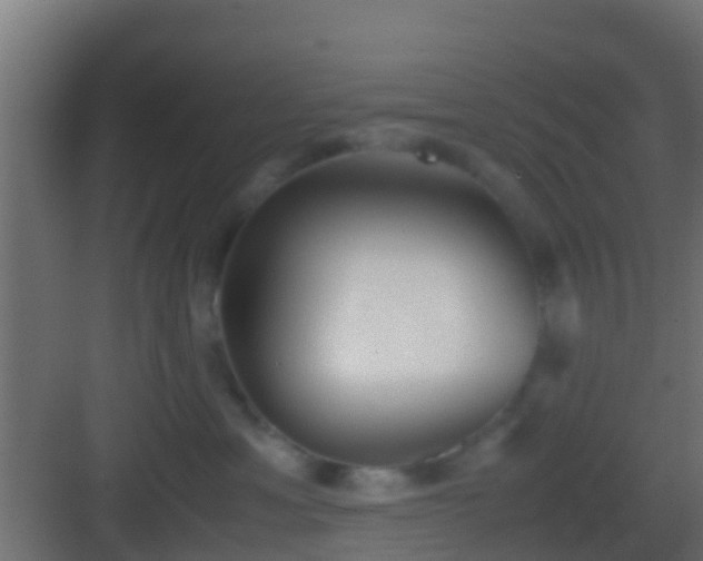 X0000083010429200702091255