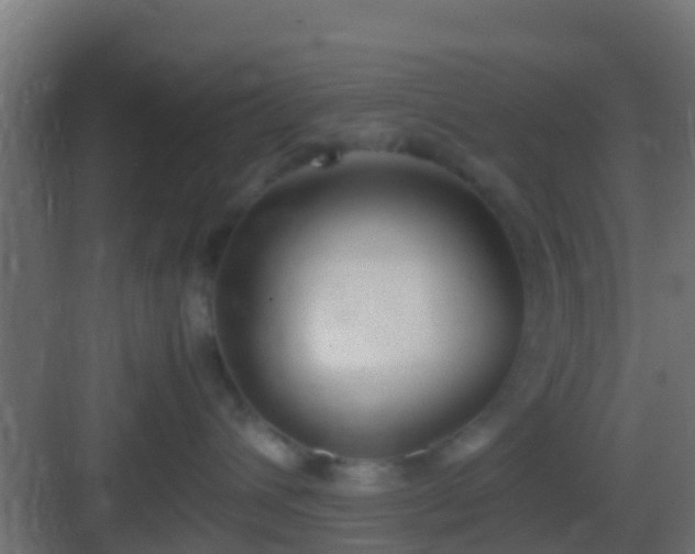 X0000083010432200702091255