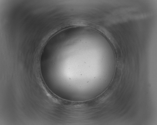 X0000083010433200702091254