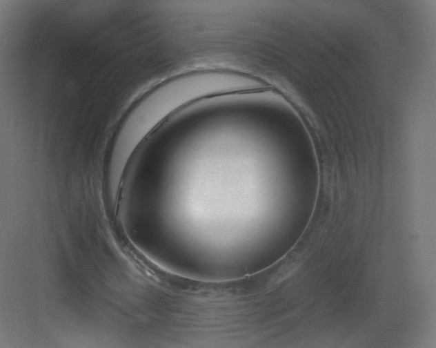 X0000083010434200702091254