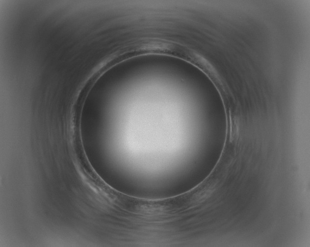 X0000083010435200702091255