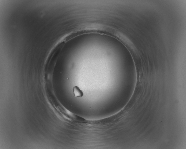 X0000083010436200702091255