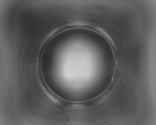 X0000083010437200702091255