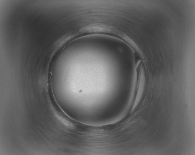 X0000083010438200702091255