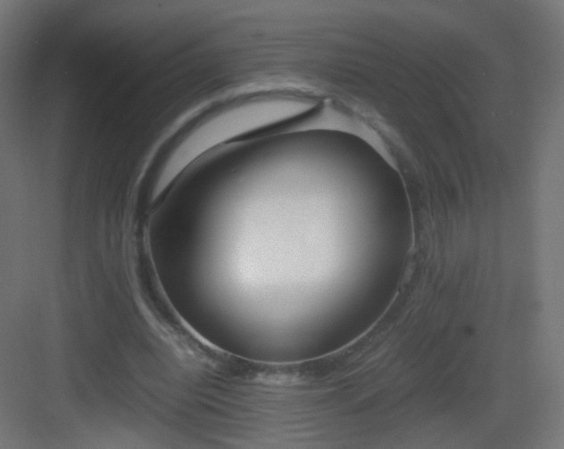 X0000083010440200702091255