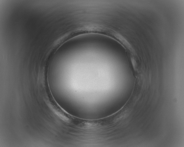 X0000083010442200702091255