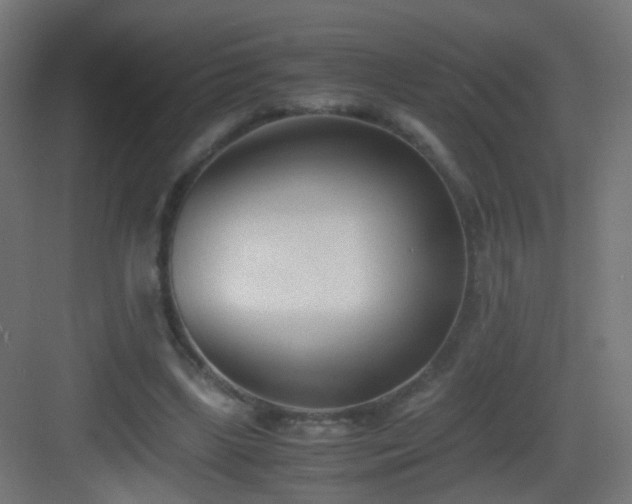 X0000083010443200702091255