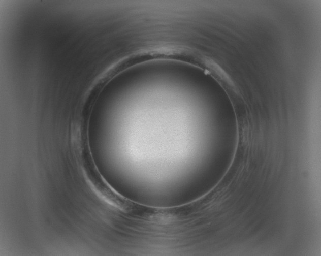 X0000083010444200702091255