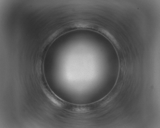 X0000083010445200702091255