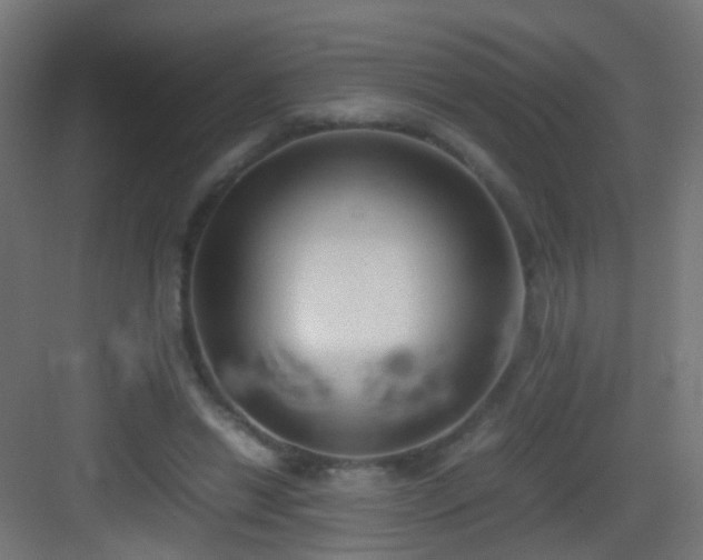 X0000083010446200702091255