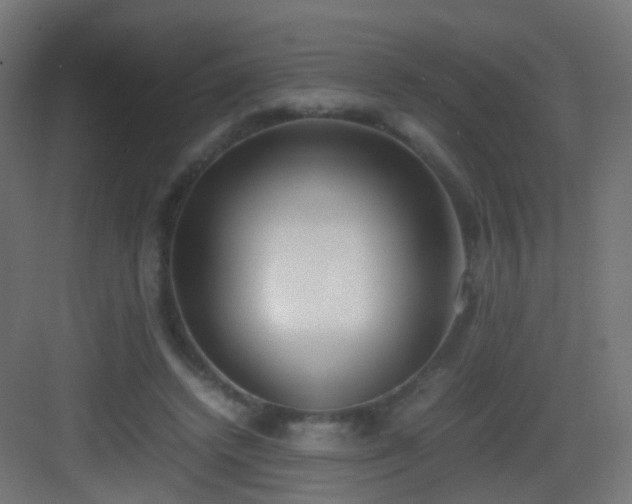 X0000083010448200702091255