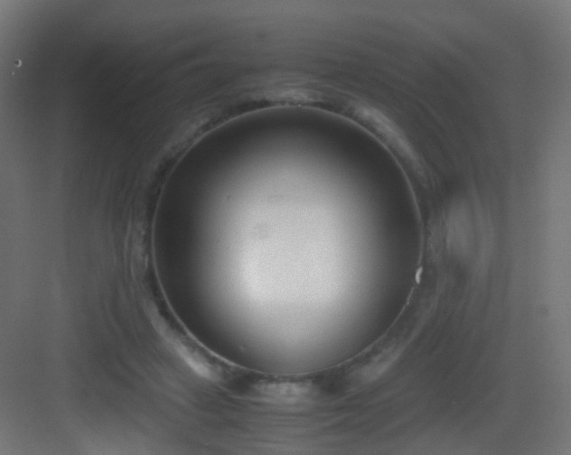 X0000083010449200702091255