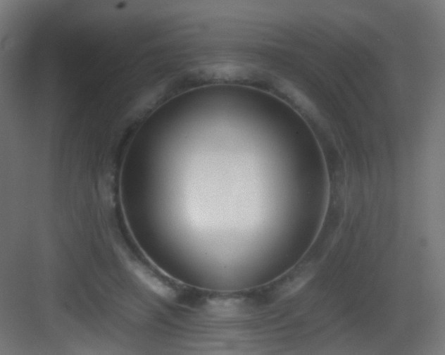 X0000083010450200702091255