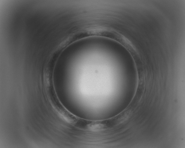 X0000083010452200702091255