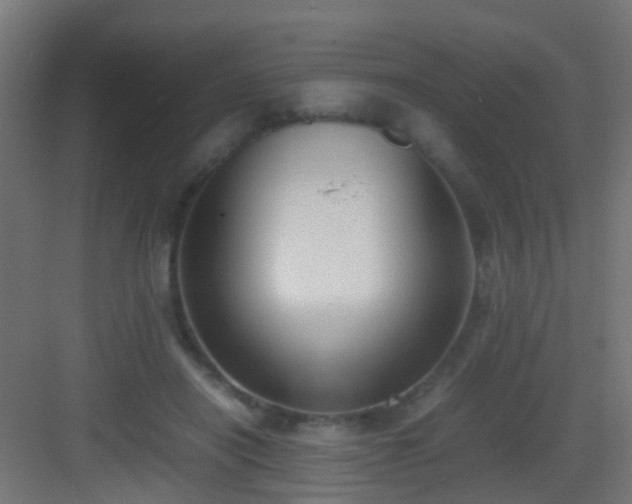 X0000083010454200702091255